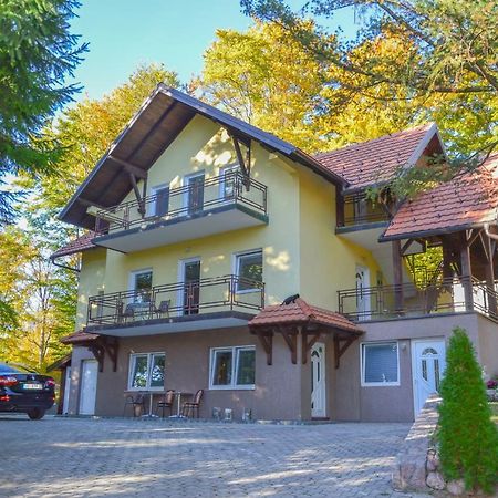 Vila Savinka Zlatibor Exterior photo