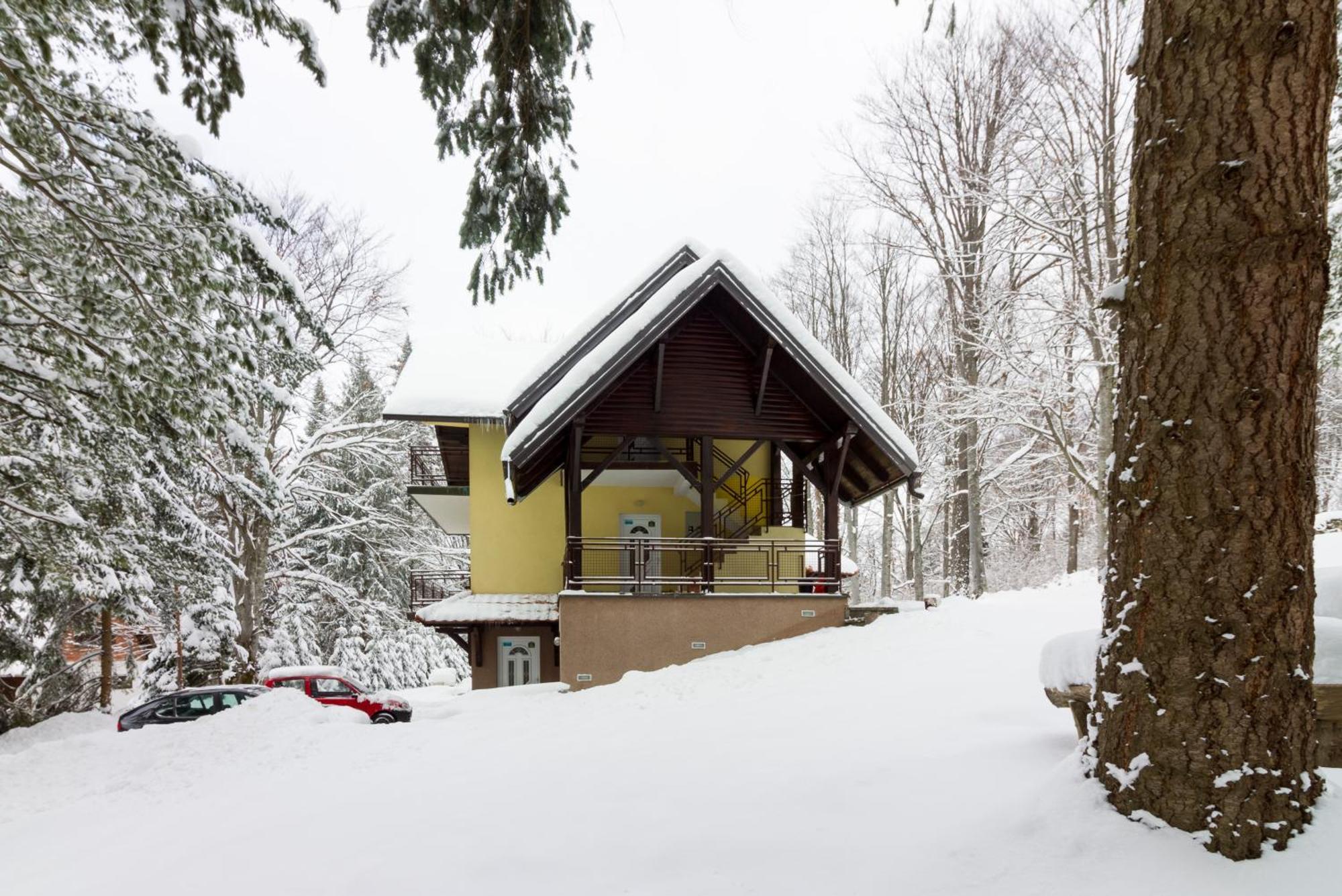 Vila Savinka Zlatibor Exterior photo