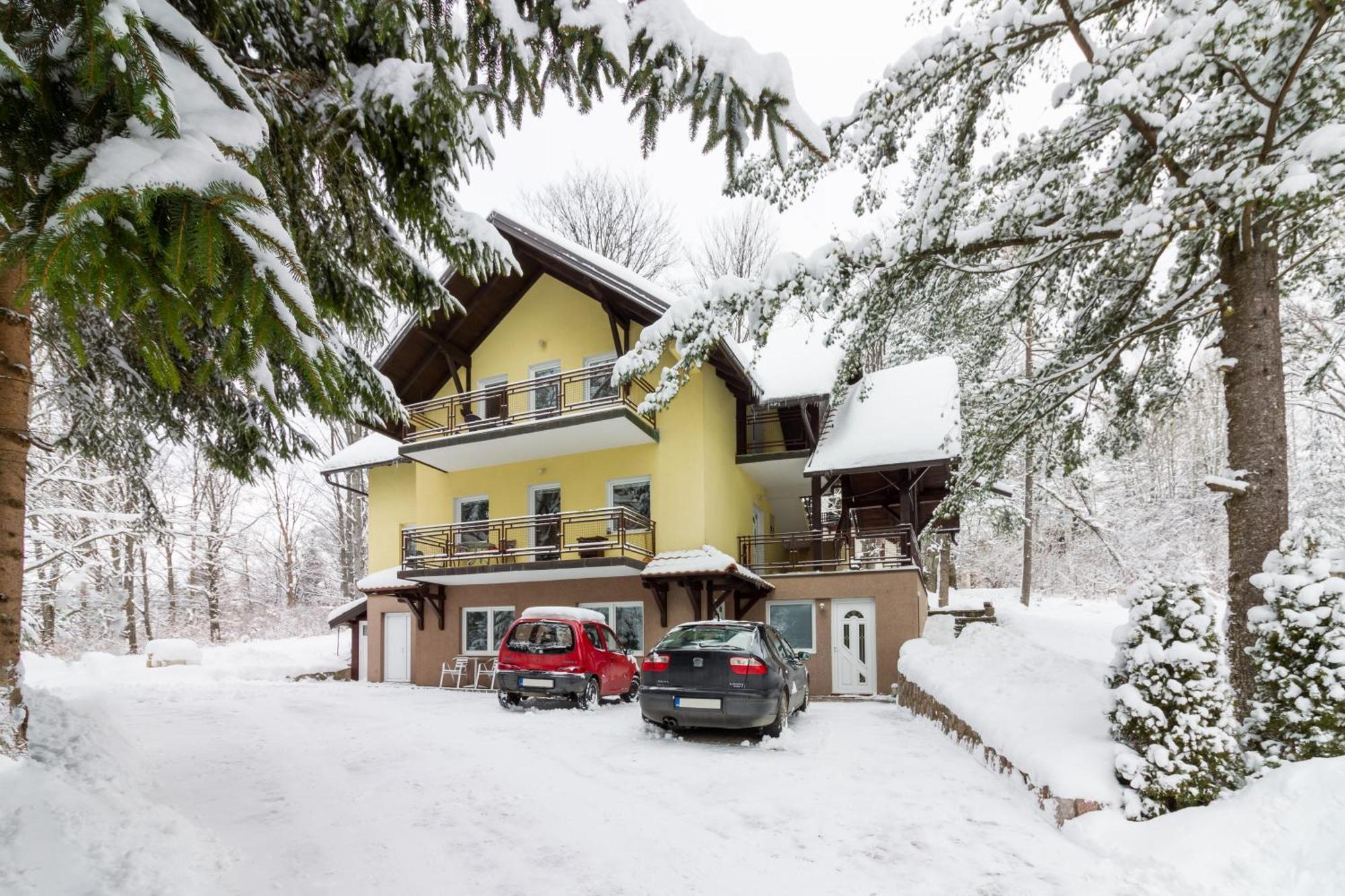 Vila Savinka Zlatibor Exterior photo