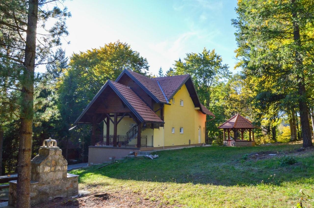 Vila Savinka Zlatibor Exterior photo