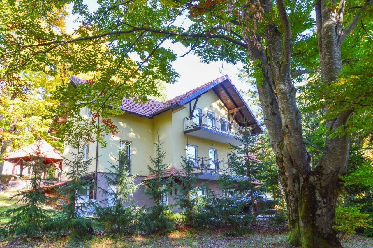 Vila Savinka Zlatibor Exterior photo